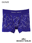 GUNZE(グンゼ)BODYWILD 紳士ボクサーブリーフ(前とじ) 3D-BOXERの詳細画面へ
