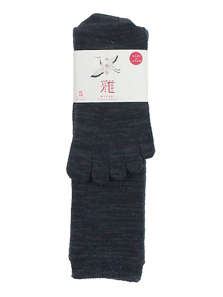 (݂) wl5{wnC\bNX ƕt { GHS24̃C摜