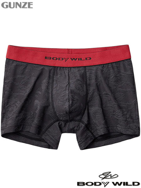 GUNZE(O[)BODYWILD am{NT[u[t(OƂ)[Y WK[h BWE109J̃C摜