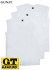 �O���[ G.T.HAWKINS(GT�z�[�L���X)�a�m�T�[�t�V���c ��100% 3���g�̏ڍ׉�ʂ�