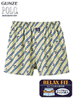 �O���[ POLO(�|��) �a�m�g�����N�X(�O����) �΂߃X�g���C�v��