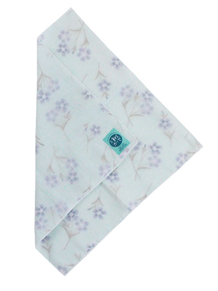 �O�d���K�[�[ �K�[�[�n���J�` �Ȃł��� 5���g 1510�i�f�V�R�̏ڍ׉摜�P