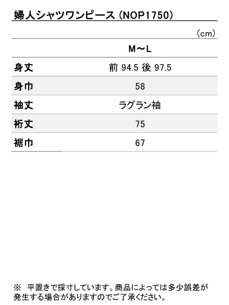 ���i�T�C�Y